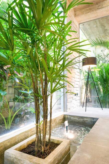 Villa Nimi Architectural Masterpiece Experience Private Pool & Great Concierge Service By Hum Living Tulum Eksteriør bilde