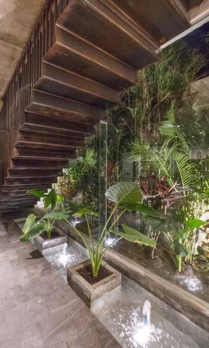Villa Nimi Architectural Masterpiece Experience Private Pool & Great Concierge Service By Hum Living Tulum Eksteriør bilde